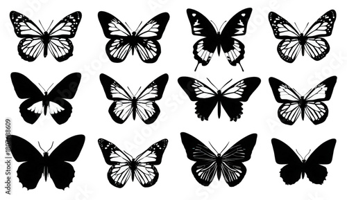 Collection of twelve black and white butterfly silhouettes and icons.