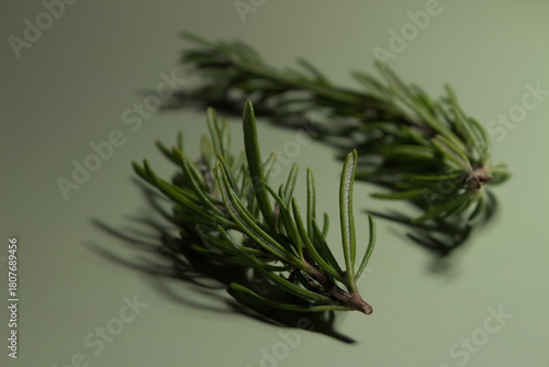 Rosemary sprigs with flowers