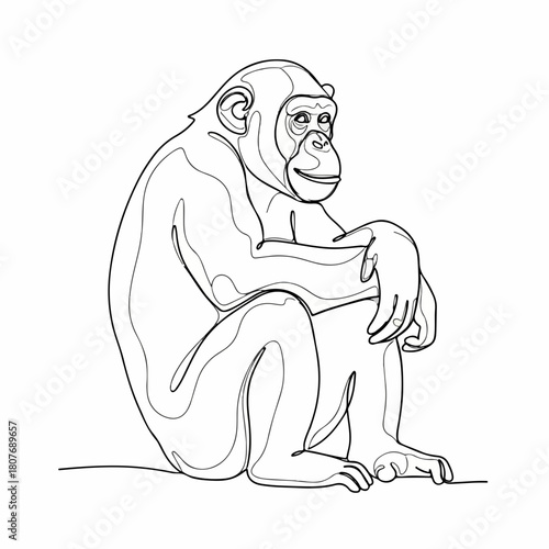 Handdrawn Detailed Chimpanzee Illustration Sitting on Ground Mammal Animal