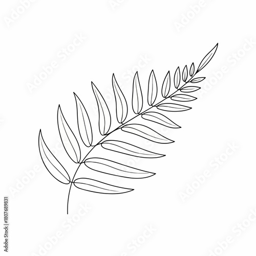 Simple Line Art Fern Frond Botanical Illustration Minimalist Drawing Element