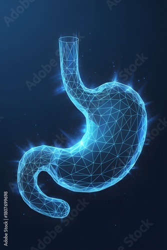 Futuristic 3D Wireframe of Human Stomach