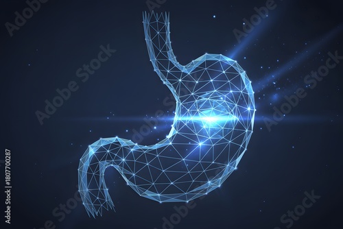 Glowing Digital Wireframe of Human Stomach