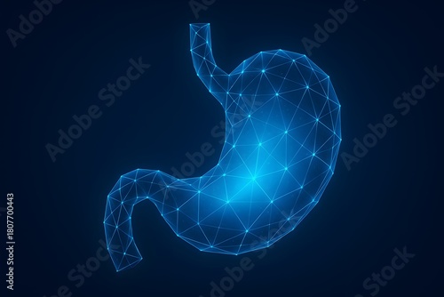 Futuristic 3D Wireframe of Human Stomach