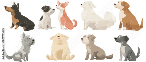 Set of cute cartoon dogs of different breeds sitting together.