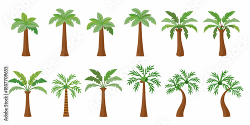 Set of stylized palm trees vector illustration of tropical plants