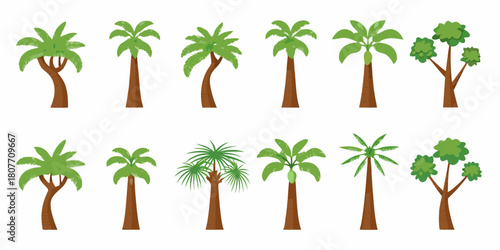 Collection of cartoon palm trees and green trees on white background