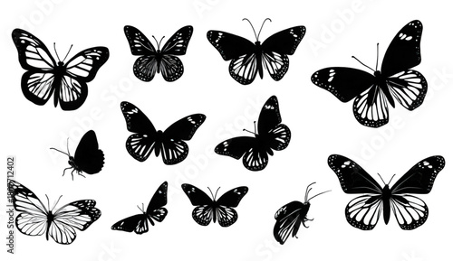 A beautiful collection of various black butterfly silhouettes isolated on white.