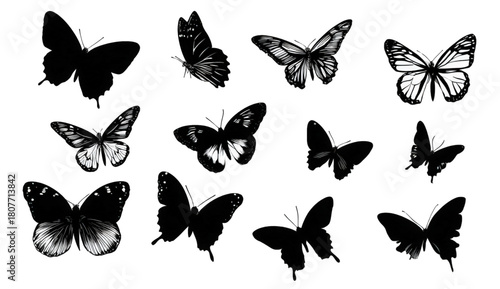 A beautiful collection of twelve black butterfly silhouettes isolated on a white background.