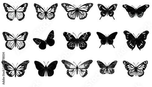 A collection of fifteen black and white butterfly illustrations and silhouettes.