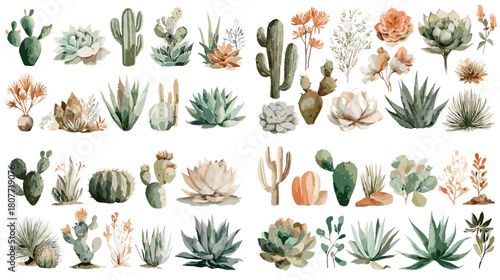 A delicate watercolor collection of cactus and succulent plants featuring desert foliage, soft earthy colors, and botanical decorative elements.