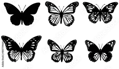 Collection of six black butterfly silhouettes and detailed wing patterns.