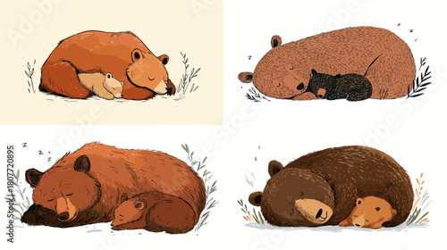 Cozy illustration of a bear and cub sleeping together in a forest setting, showcasing warmth, protection, and maternal bonding in soft textured colors and gentle artistic style.