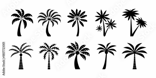 Collection of palm tree silhouettes in black and white for summer designs