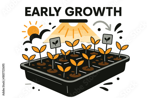 Early Growth Seedlings. Seeds ? Seedling Tray. Rows of neat sprouts under warm light; label tags with small leaves icon. Text ?early growth? in geometric sans.