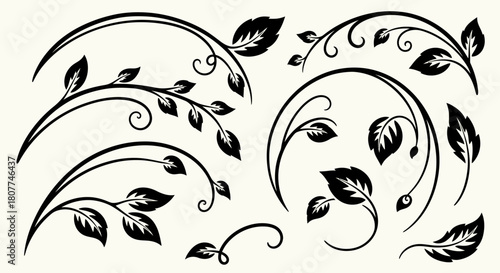 Black and white vector illustration of floral ornaments with leaves and swirls.