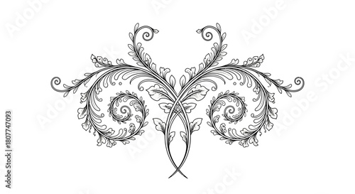 Symmetrical black and white baroque style scrollwork with ornate acanthus leaf details on a white background.