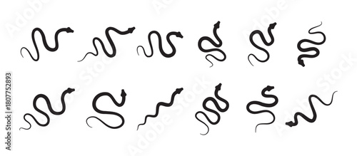 Black silhouette snake icon set. Isolated snake symbol on white background. Abstract snake sign