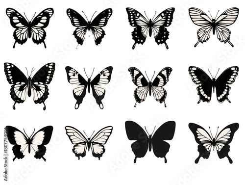 Set of twelve black and white butterfly vector illustrations.