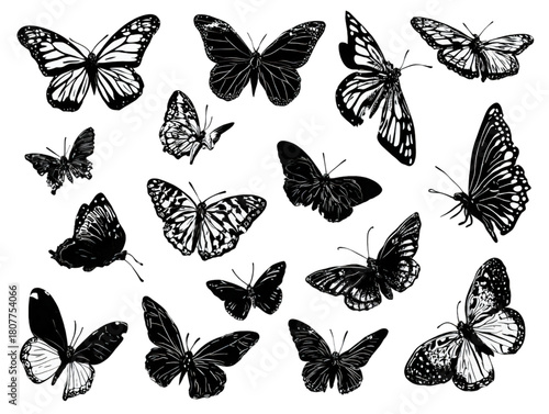 Collection of black butterfly silhouettes and illustrations on white.