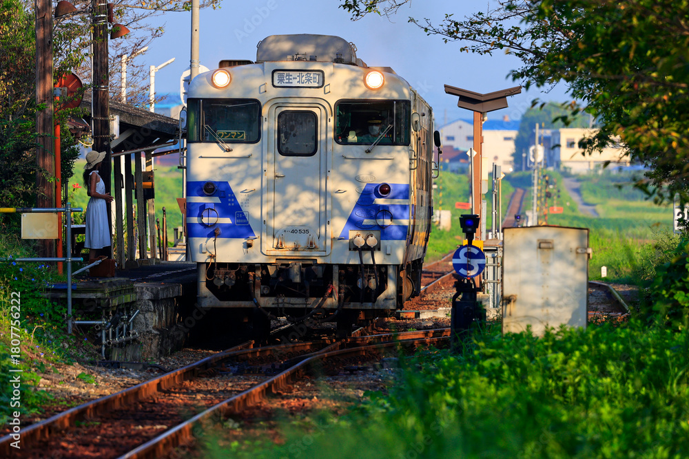 Naklejka premium ローカル線を走るキハ40で帰省