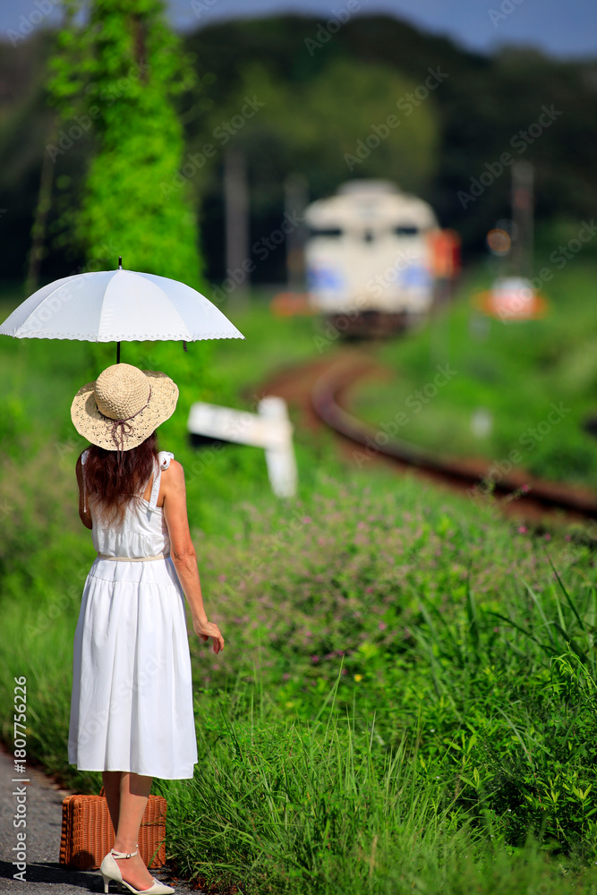 Obraz premium ローカル線を走るキハ40で帰省