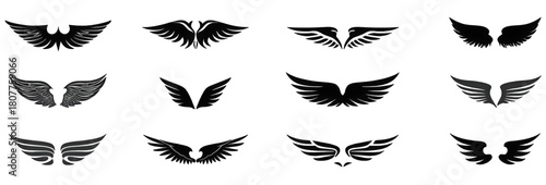 A diverse set of black wing silhouettes for design elements.