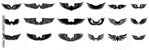 Set of Various Black Tribal Wing Designs Isolated on White.