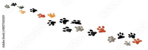 A winding trail of colorful cat and dog paw prints isolated on a white background.