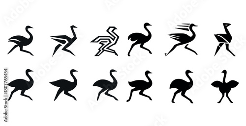 Collection of stylized ostrich silhouettes and abstract art variations