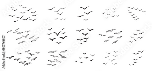 Birds flying line in the sky set. Ink grunge flock of birds afar brush hand drawn. markers and crayons
