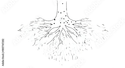 Intricate network of tree roots spreading underground, symbolizing growth and foundation