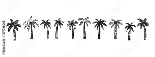 Palm tree tropical nature, vegetation doodle hand drawn icon set. Outline drawing palm tree tropical nature, vegetation line clipart symbol collection