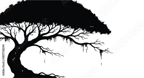 Ancient, gnarled tree silhouette with hanging moss against a stark white background.