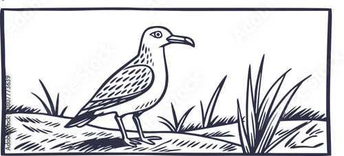 Seagull Bird Illustration on Coastal Sand Dunes – Hand Drawn Minimal Vector Artwork Depicting Nature, Wildlife, and Shoreline Scene in Elegant Line Art Style