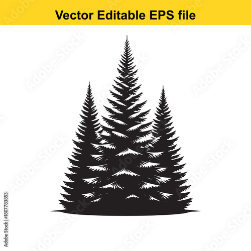 Three pine trees in a forest, a coniferous evergreen tree isolated on, a vector illustration of a forest landscape