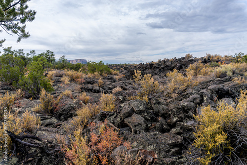 El Malpais National Monument in New Mexico. Pahoehoe Lava, McCartys Lava Flow, Rugged lava flows along Zuni-Acoma Trail. 
