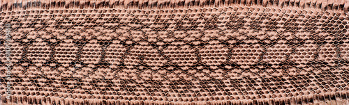 Texture of natural snake skin, as background. Snake pattern. Reptile skin texture.