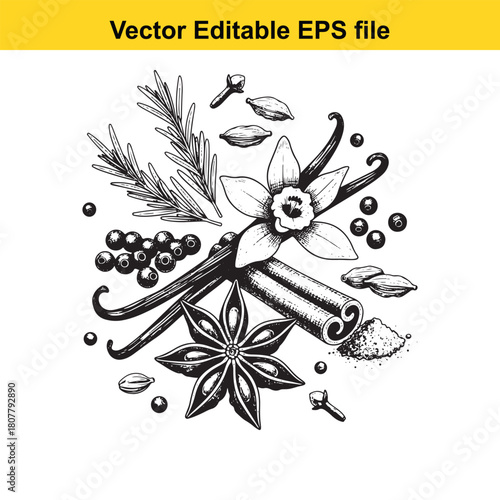 Handdrawn sketch of spices, isolated on vanilla, cinnamon, star anise, rosemary, clove, cardamom, pepper vector illustration