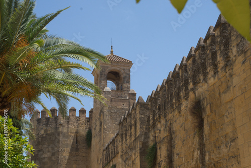 Tower of Córdoba: Sunlit Walls and Palms