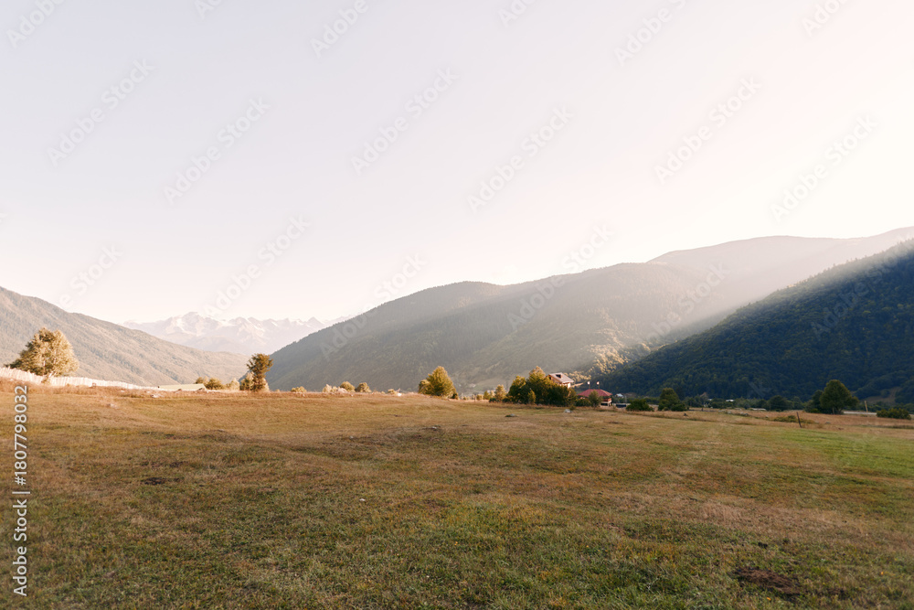 Fototapeta premium Meadow valley mountains grass landscape and rolling hills under soft morning light. Wide open field with distant treeline, serene countryside scene for nature, outdoor and pastoral calm.