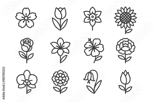 Seasonal Bloom Icons. Seasonal blooms. Line icon set of seasonal blooms: cherry blossom, tulip, daffodil, sunflower, rose, lily, hibiscus, peony, orchid,