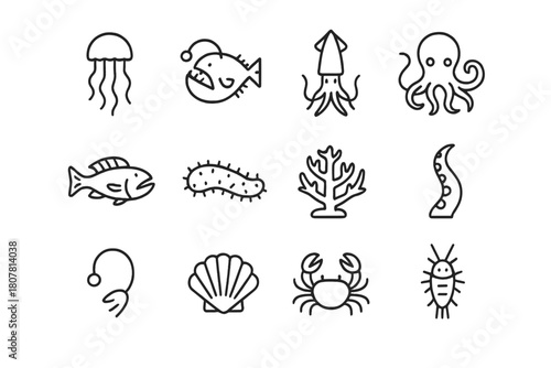 Abyssal Sea Icons. Ocean abyss creatures. Line icon set of ocean abyss creatures: jellyfish, anglerfish, squid, octopus, deep fish, sea cucumber, coral,