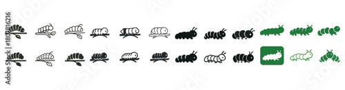Caterpillar icons evolution from leaf to worm in black and green