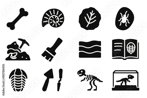 Fossil Icon Set. Fossils and paleontology. Solid icon set of Fossils and paleontology: dinosaur bone, fossil shell, leaf imprint, amber insect, excavation