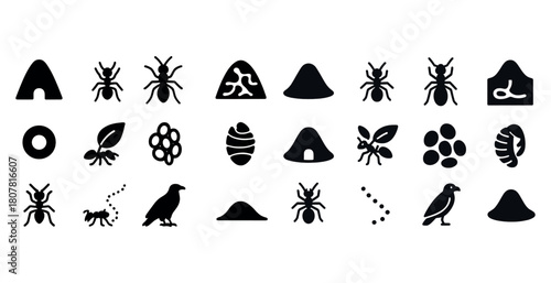 Ant silhouettes and symbols in nature-inspired icons