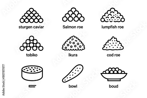 Caviar Icon Collection. Caviar types. Line icon set of caviar types: sturgeon caviar, salmon roe, lumpfish roe, trout roe, tobiko, ikura, masago, cod roe,