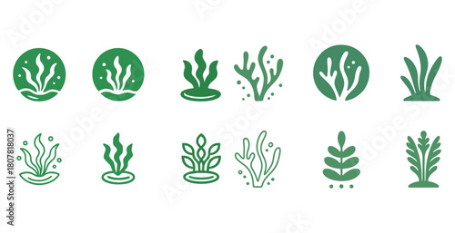 Set of green seaweed icons in various styles and designs