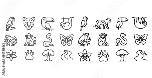 Collection of animal and nature icons: parrot, leopard, toucan, sloth