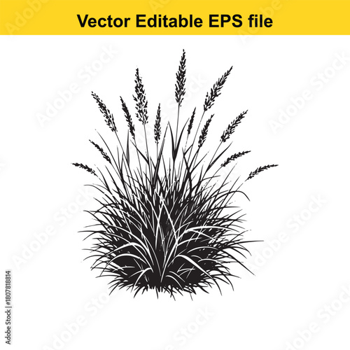 Ornamental grass vector illustration isolated on, a beautiful and versatile addition to any design project, adding a touch of nature