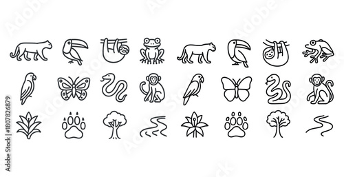 Jungle animal outlines: cats, birds, frogs, insects, trees